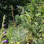 Indigena Forest Retreat -entire 6 Persons Family Near Efteling And Dunes * Sprang