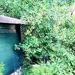 בית נופש Indigena Forest Retreat -entire 6 Persons Family Near Efteling And Dunes