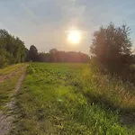 Indigena Forest Retreat -entire 6 Persons Family Near Efteling And Dunes Sprang