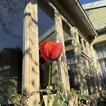 Indigena Forest Retreat -entire 6 Persons Family Near Efteling And Dunes בית נופש Sprang