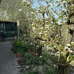 Dom wakacyjny Indigena Forest Retreat -entire 6 Persons Family Near Efteling And Dunes Sprang
