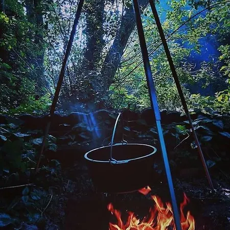 Feriehus Indigena Forest Retreat -entire 6 Persons Family Near Efteling And Dunes
