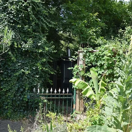 Romantic, Spacious House With A Forest Garden Sprang