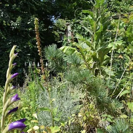 Romantic, Spacious House With A Forest Garden * Sprang