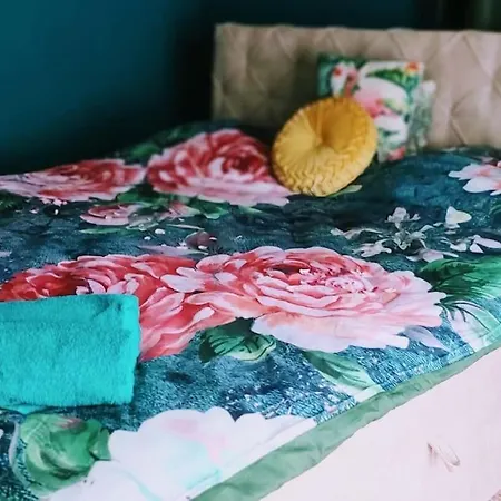 Nyaraló Entire Spacious 6 Persons House Near The Efteling And Dutch Dunes