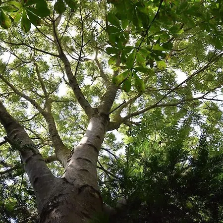 Entire Spacious 6 Persons House Near The Efteling And Dutch Dunes * Sprang