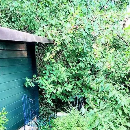 Feriehus Indigena Forest Retreat -entire 6 Persons Family Near Efteling And Dunes