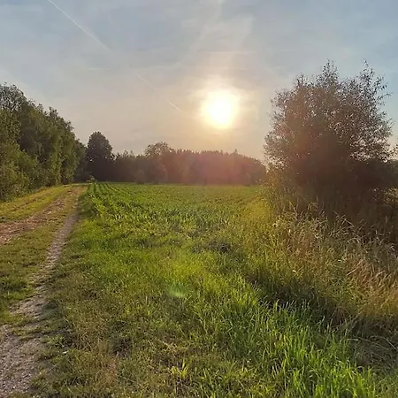 Indigena Forest Retreat -entire 6 Persons Family Near Efteling And Dunes Sprang