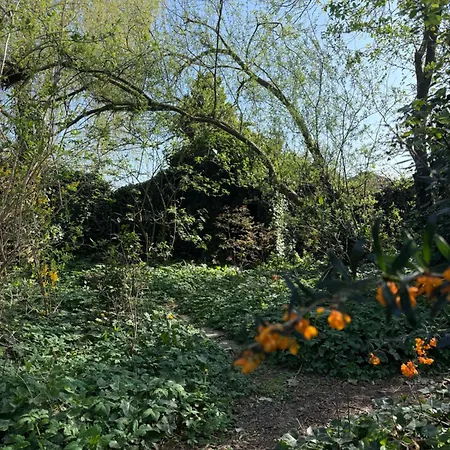 Romantic, Spacious House With A Forest Garden * Sprang