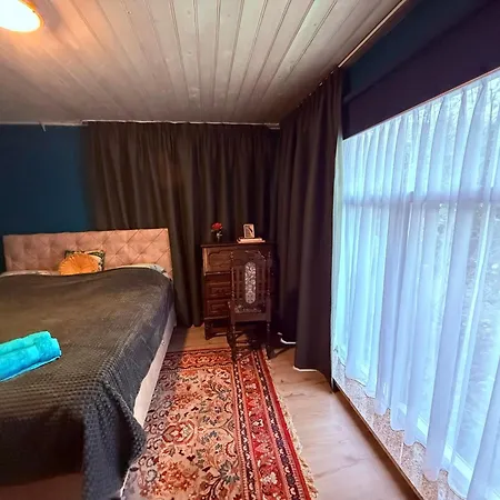 Indigena Forest Retreat -entire 6 Persons Family Near Efteling And Dunes *