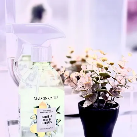 Nyaraló Entire Spacious 6 Persons House Near The Efteling And Dutch Dunes