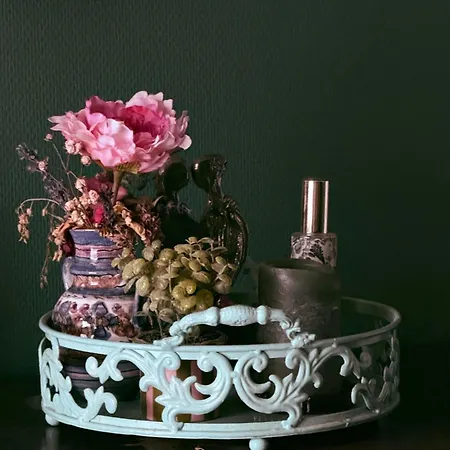 Entire Spacious 6 Persons House Near The Efteling And Dutch Dunes *