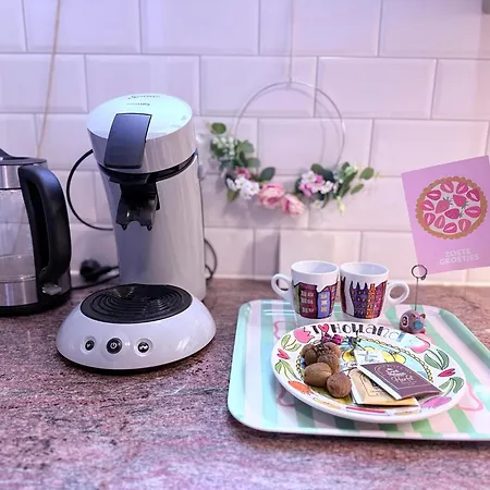 Entire Spacious 6 Persons House Near The Efteling And Dutch Dunes Sprang