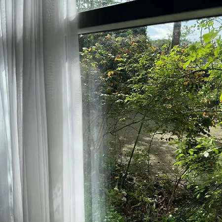 Indigena Forest Retreat -entire 6 Persons Family Near Efteling And Dunes Feriehus *