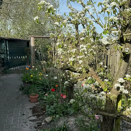 Feriehus Indigena Forest Retreat -entire 6 Persons Family Near Efteling And Dunes Sprang