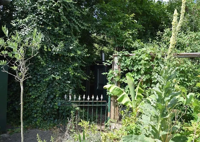 Entire Spacious 6 Persons House Near The Efteling And Dutch Dunes Sprang