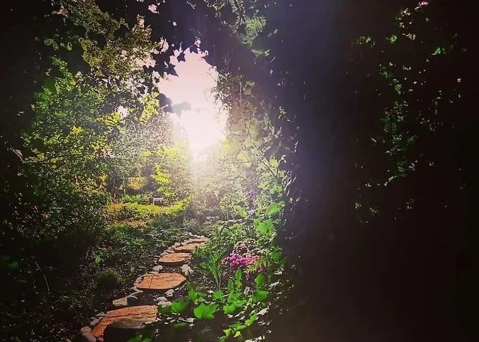 Entire Spacious 6 Persons House Near The Efteling And Dutch Dunes Feriehus Sprang