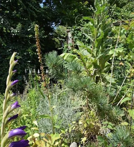 Entire Spacious 6 Persons House Near The Efteling And Dutch Dunes * Sprang