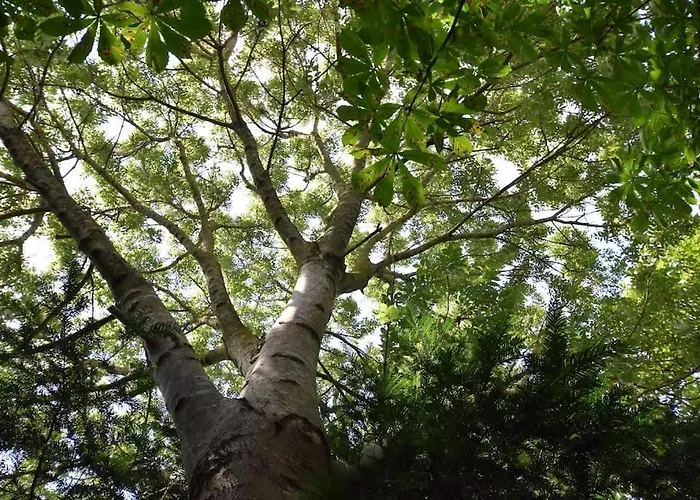 Entire Spacious 6 Persons House Near The Efteling And Dutch Dunes * Sprang