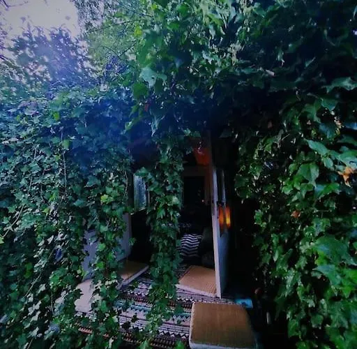 Entire Spacious 6 Persons House Near The Efteling And Dutch Dunes