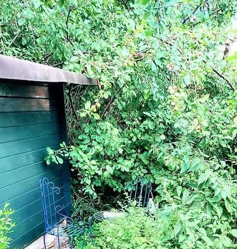 別荘 Entire Spacious 6 Persons House Near The Efteling And Dutch Dunes