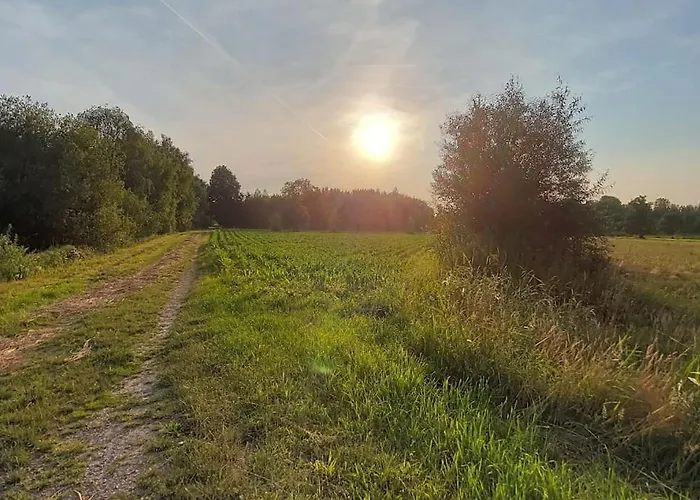 Entire Spacious 6 Persons House Near The Efteling And Dutch Dunes Sprang