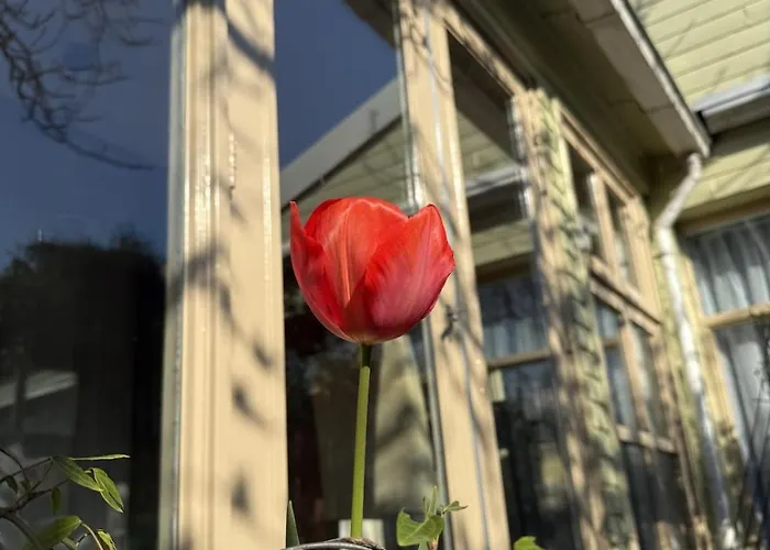 Entire Spacious 6 Persons House Near The Efteling And Dutch Dunes بيت للعطل Sprang