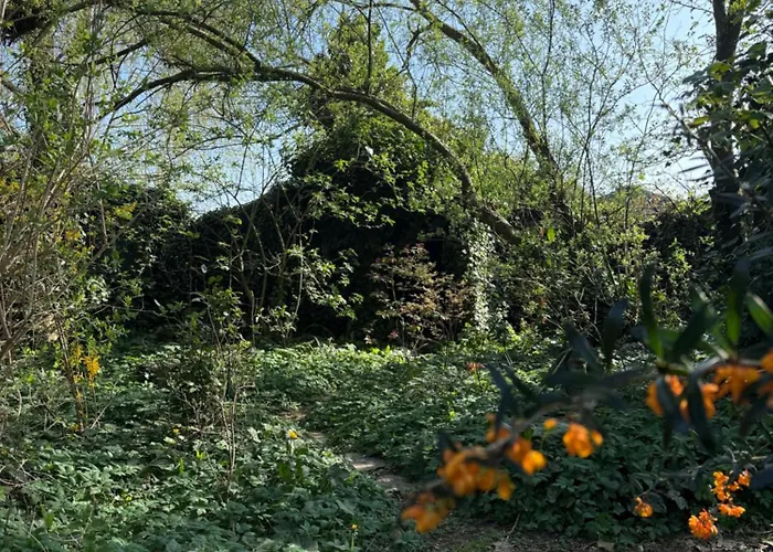 Entire Spacious 6 Persons House Near The Efteling And Dutch Dunes * Sprang