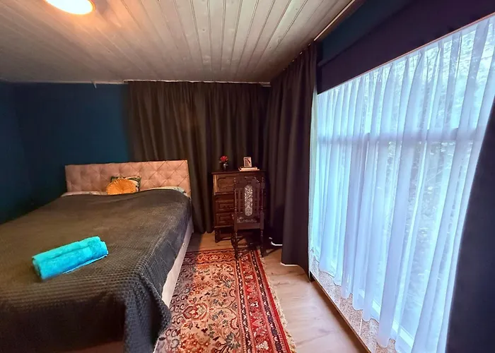 Entire Spacious 6 Persons House Near The Efteling And Dutch Dunes *