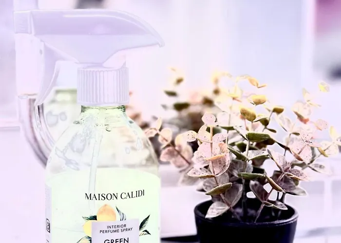 Feriehus Entire Spacious 6 Persons House Near The Efteling And Dutch Dunes