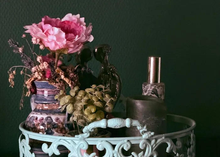 Entire Spacious 6 Persons House Near The Efteling And Dutch Dunes *