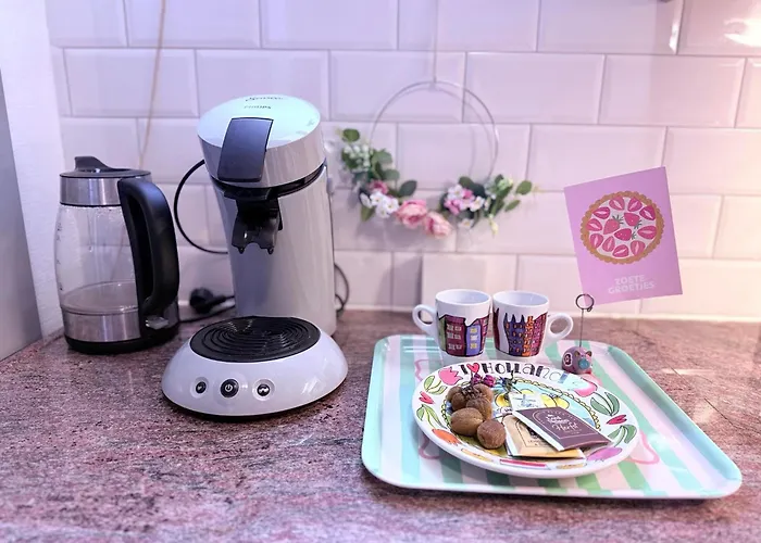 Entire Spacious 6 Persons House Near The Efteling And Dutch Dunes Sprang